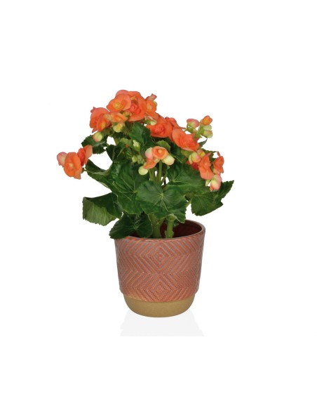 Macetero Terracota pequeño