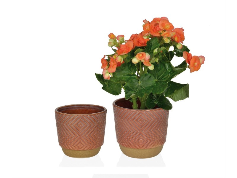 Macetero Terracota mediano