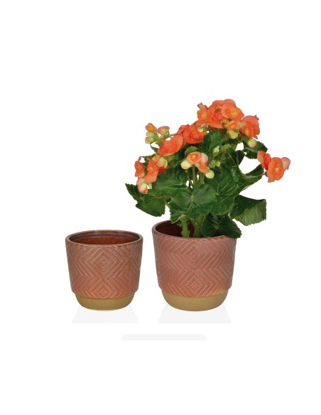 Macetero Terracota mediano