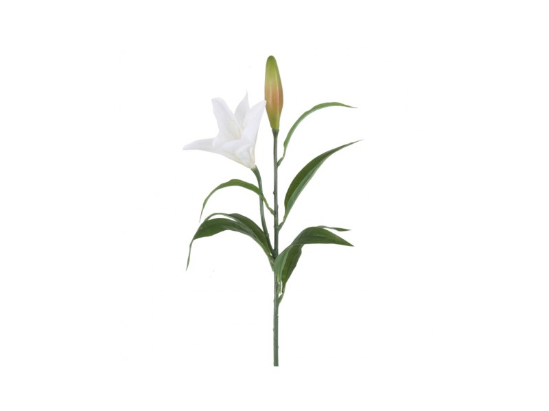 Rama Lilium blanco