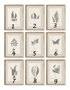 Cuadros botánicos 2