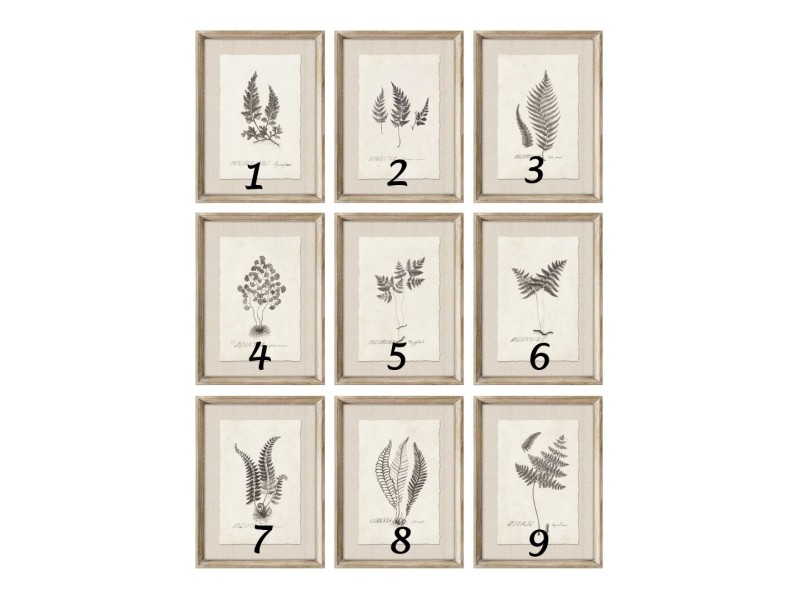 Cuadros botánicos
