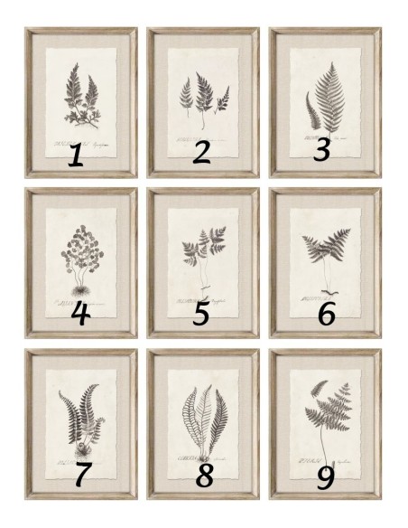 Cuadros botánicos