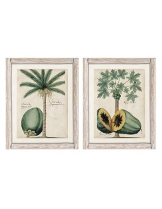 Cuadro coco y papaya