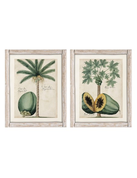 Cuadro coco y papaya