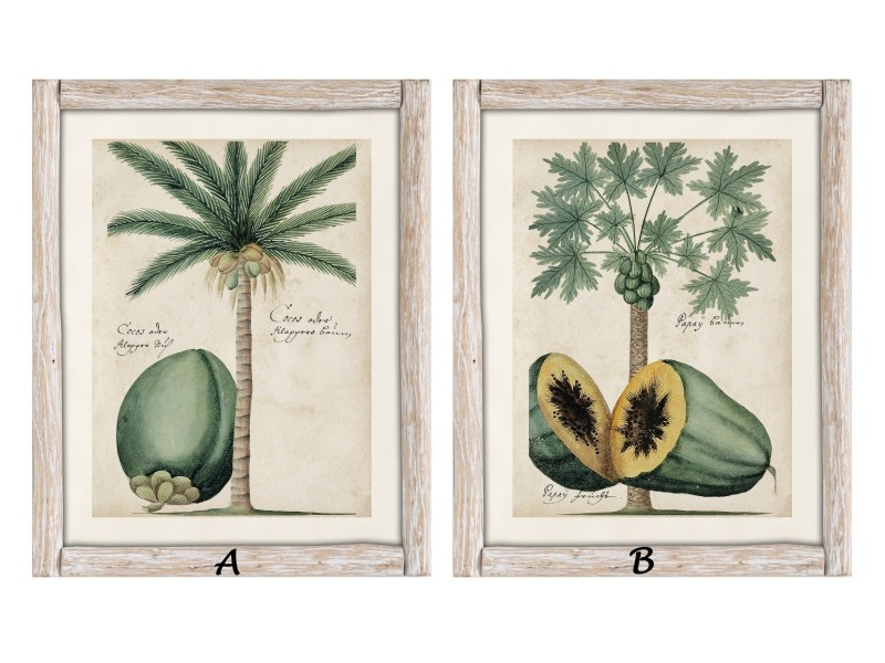 Cuadro coco y papaya