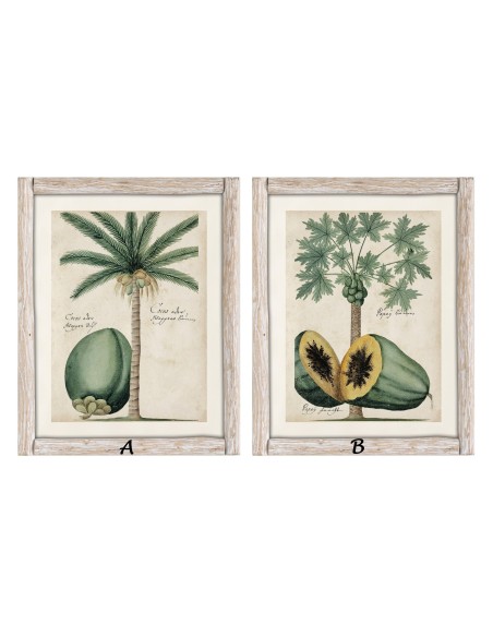 Cuadro coco y papaya