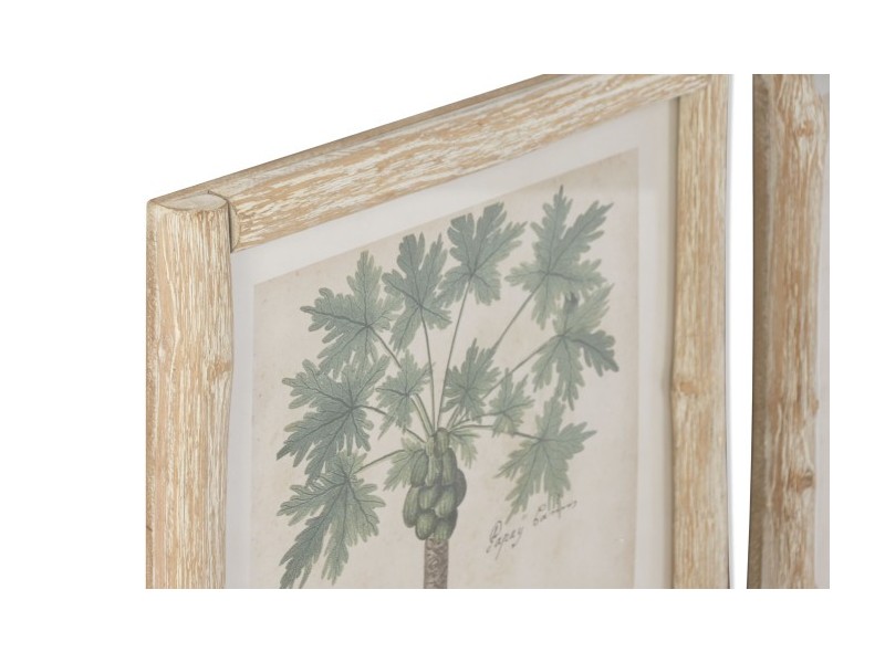 Cuadro coco y papaya