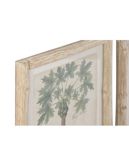 Cuadro coco y papaya