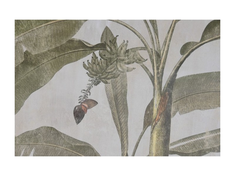 Cuadros palmeras verdes