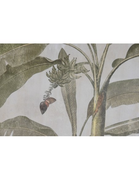 Cuadros palmeras verdes