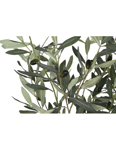Olivo verde de 150 cm