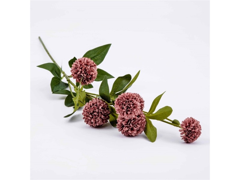 Rama Mum rojo pálido