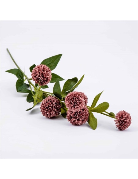 Rama Mum rojo pálido