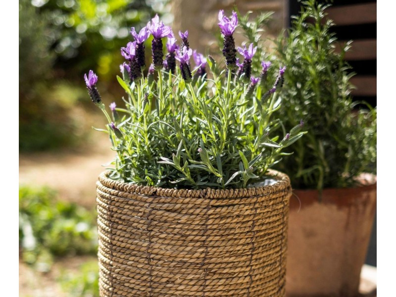 Juego de maceteros de pie