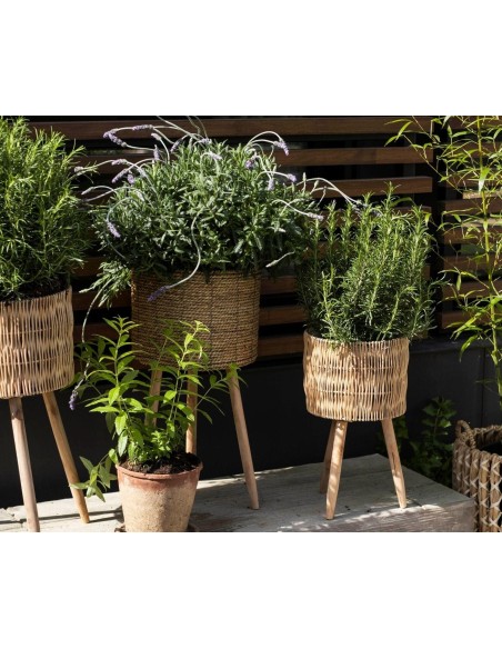 Juego de maceteros de pie